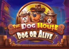 image-slots-the-dog-house-dog-or-alive